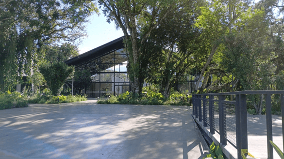 El Bosque (2)-min