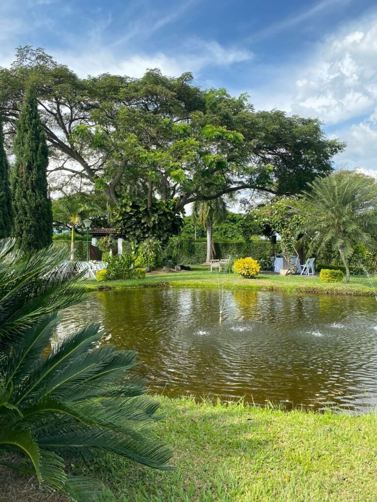 La Isabella (2)